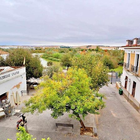 Apartamento Paseo De La Ribera Córdoba Exteriér fotografie